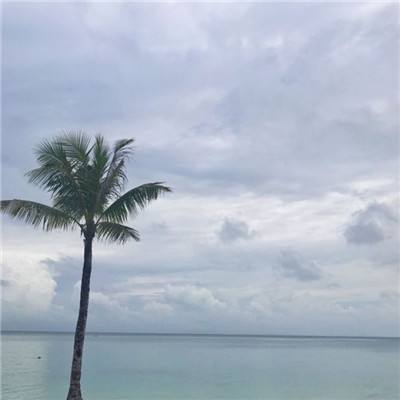 圣斗士星矢重生百度版本下载